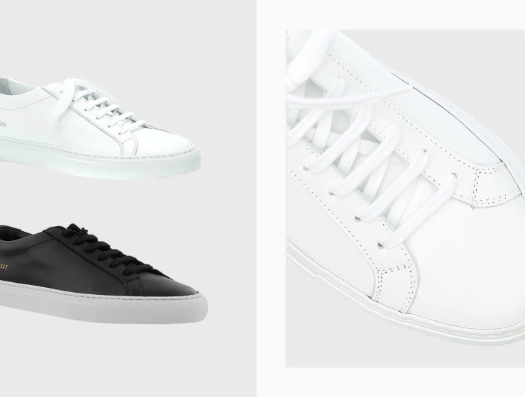 how do common projects fit?